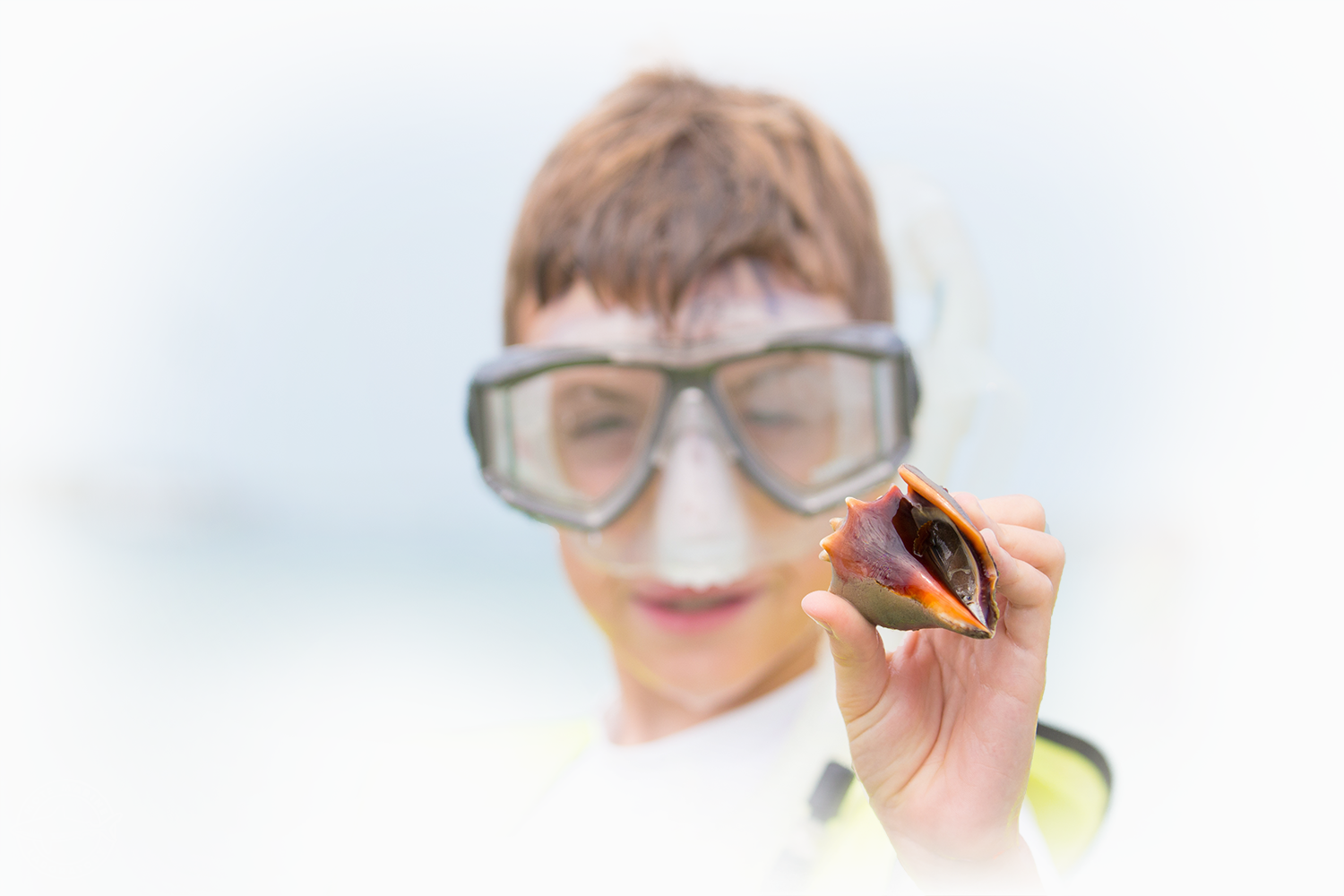 child with shell