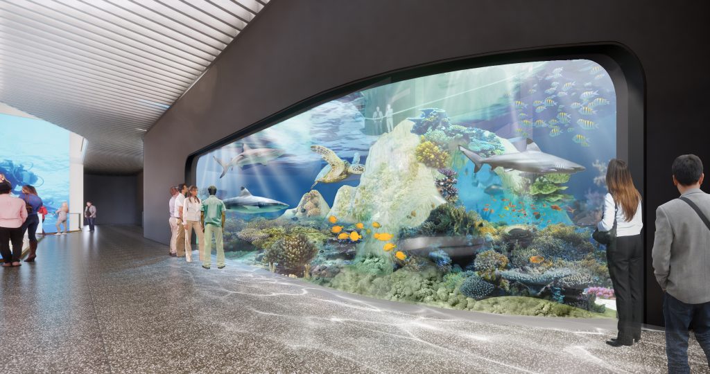 Indo-Pacific coral exhibit at Mote SEA. All renderings subject to change.