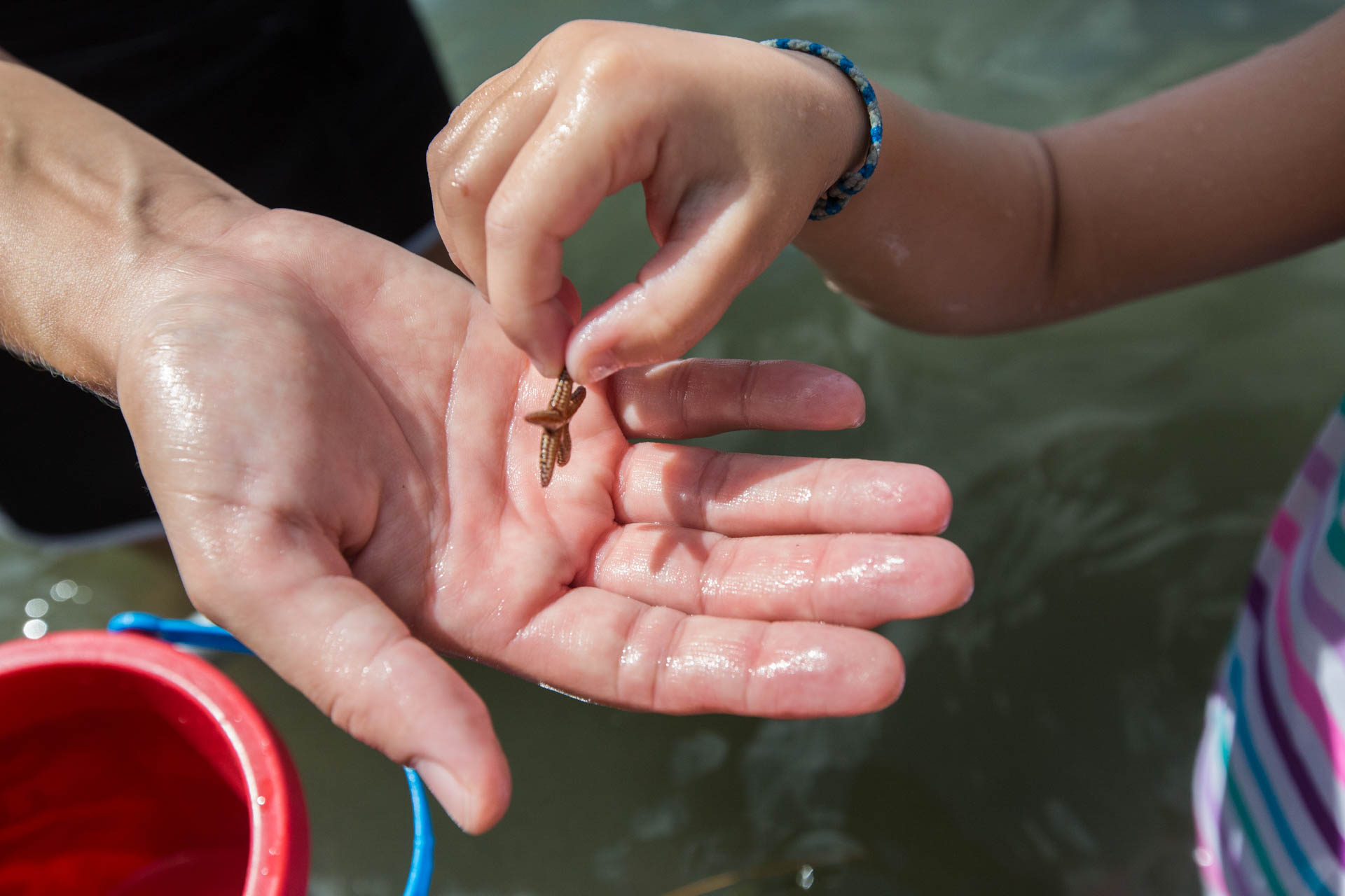 Mommy & Me Summer Camp | Mote Aquarium